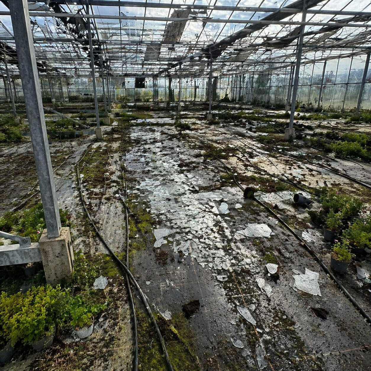 Arbeiter bei der Asbestsanierung im Freien
