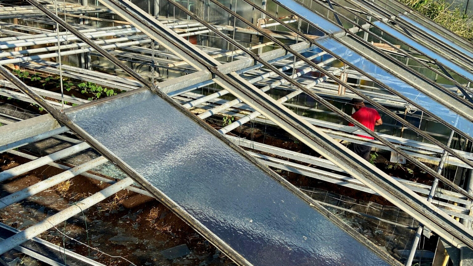 Gewächshaus Verglasung mit moderner Konstruktion bei der Sanierung und Montage eines Glasdachs