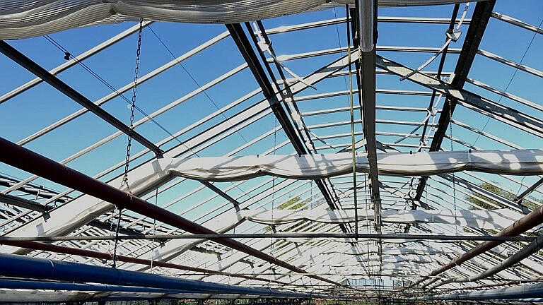 Gewächshaus Innenansicht mit Glasdach und Konstruktion in dunkler, moderner Darstellung